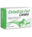 CELADRIN PET CONDRO 60CPR
