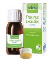 FRAXINUS EXCELSIOR MG 60ML INT