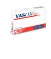 VASOX 600 30 COMPRESSE