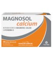 MAGNOSOL CALCIUM POLVERE EFFERVESCENTE 20 BUSTINE
