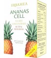 ANANAS CELL FLUIDO CONCENTRATO 15 BUSTINE 20 ML